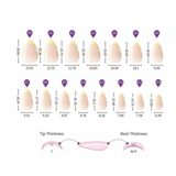 Amber Luxe | Salon Quality Press-on Nails Kit-Short Almond Rose-Gold Chrome