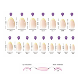Luxe French | Salon Quality Press-on Nails kit - Short Almond White French Tip